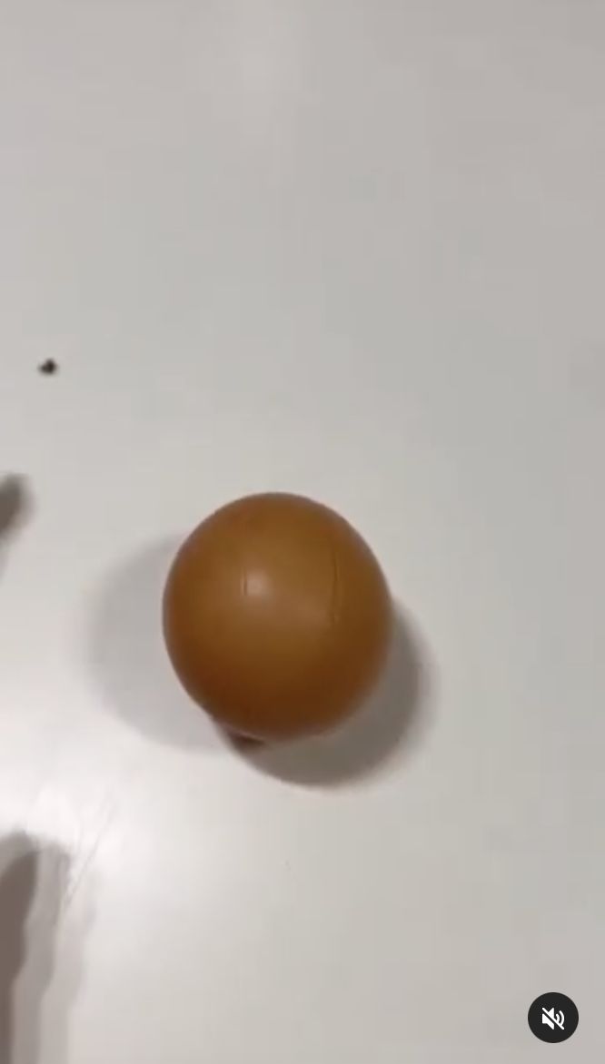 Super Langka! Wanita ini Temukan Telur Bulat Sempurna