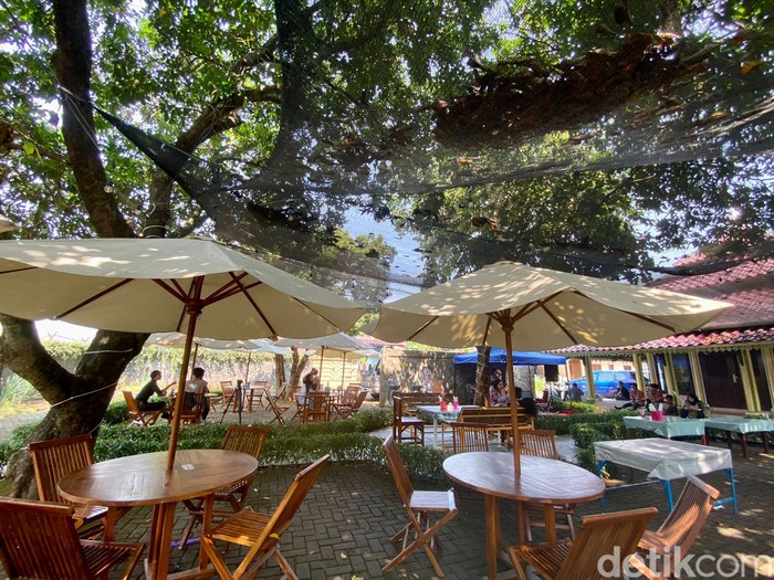 Dapur Ngacir Mandra Viral, Andalannya Jengkol yang Diproses 5 Hari