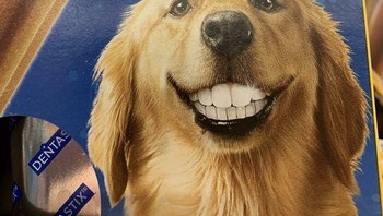 Kenapa anjingnya punya gigi seperti manusia ya? Foto: Reddit via Bored Panda