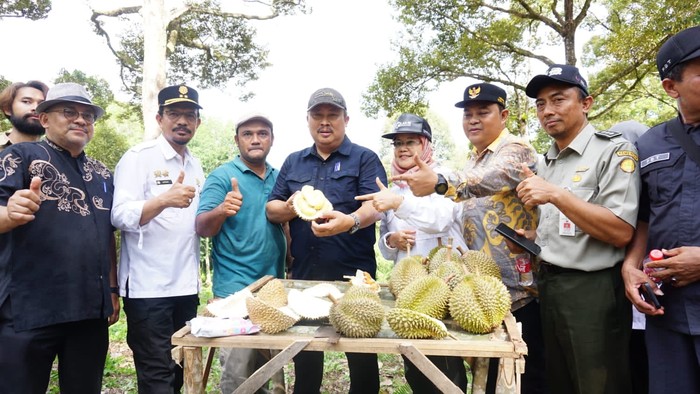 Durian Lokal