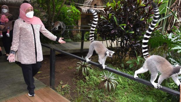 Gubernur Khofifah berwisata ke sejumlah destinasi wisata Jatim