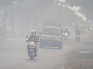 Terjadi Kebakaran Hutan? Ini Cara Mencegah Dampak Asapnya bagi Kesehatan