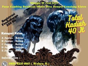 Ada Kontes Kambing Kaligesing Regional Jawa di Dompol Klaten Besok!
