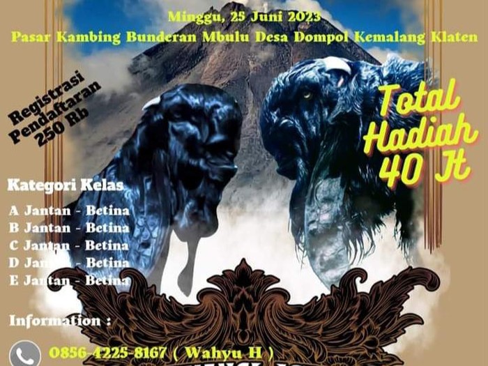 Poster kontes Kambing Kaligesing Regional Jawa 2023 di Klaten, Minggu (25/6/2023).