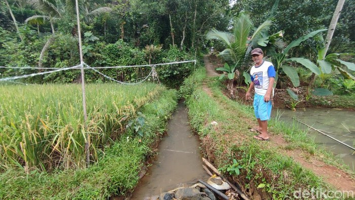 Saluran dari sumber mata air Cikiray yang konon sering dilintasi ratusan kura-kura. Mata air tersebut bermanfaat untuk mengairi ratusan hektare sawah.