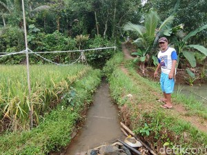 Mata Air yang Tak Pernah Kering di Ciamis dan Larangan Menangkap Kura-kura