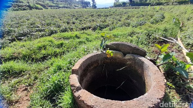 Situ Citali Sumedang, tempat lahirnya ubi cilembu