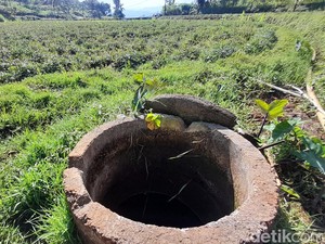 Melihat Lebih Dekat Situ Citali, Tempat Lahirnya Ubi Cilembu