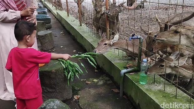 Tempat wisata edukasi di Blitar