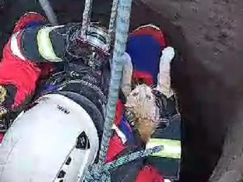 Tim Damkar Klaten mengevakuasi kucing tercebur sumur di Desa Bolali, Kecamatan Wonosari, Klaten, Sabtu (24/6/2023).