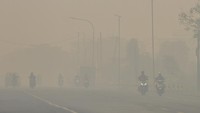 Pengendara motor melintas di jalan yang diselimuti kabut asap kebakaran lahan di Kecamatan Liang Anggang, Banjarbaru, Kalimantan Selatan, Sabtu (24/6/2023). 