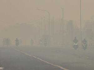 Kabut Asap Karhutla Selimuti Banjarbaru Kalimantan Selatan