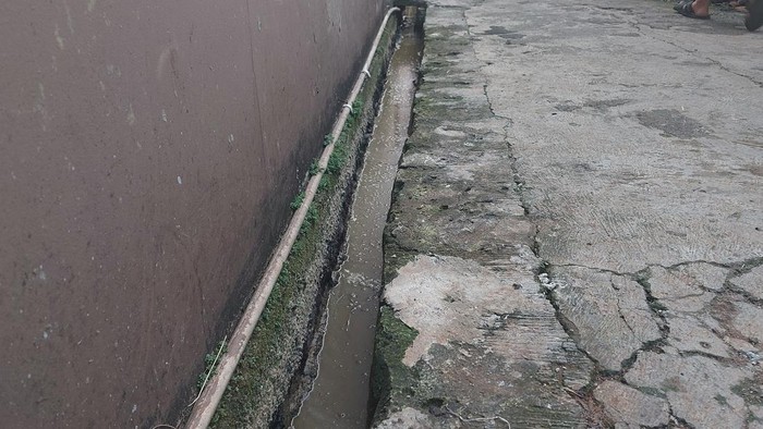 Limbah kotoran sapi di saluran air permukiman warga di Jaksel