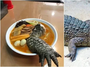 Makin Ekstrem, Kini Ada Ramen Topping Daging Buaya di Taiwan
