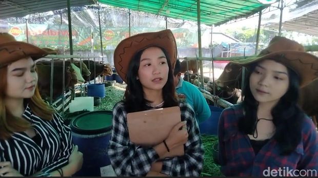 SPG cantik hewan kurban
