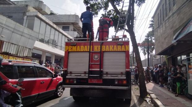 Warga dan pengendara yang melintas di Jalan Gandawijaya, Kota Cimahi, Minggu (25/6/2023), dibikin geger lantaran seekor ular sanca berukuran cukup besar mejeng di pohon.