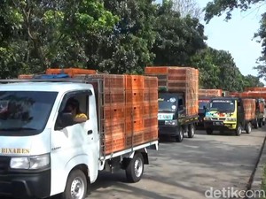 Harga Ayam Naik, Pedagang di Jabar Mogok Jualan!