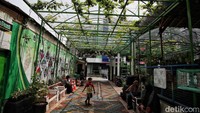 Saat ini MTS Jakarta Pusat telah menerapkan konsep go green di lingkungan sekolah.  