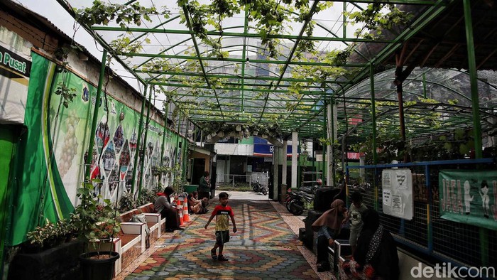 Seorang guru menunjukkan tanaman di MTS Jakarta Pusat, Senin (26/6/2023). Konsep go green telah diterapkan di MTS Jakarta Pusat. Selain asri, konsep ini juga untuk memberikan kesejukan di lingkungan sekolah.