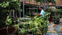 Sekolah ini menerapkan konsep go green untuk memberikan kesejukan di lingkungan sekolah.  