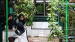 Asri dan Sejuknya MTS Jakarta Pusat