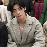 Namun netizen Korea masih dapat memaklumi gaya global ambassador Dior itu karena ketampanannya. Foto: dok. Instagram @_chaeunwoodaily