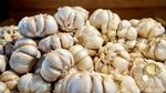Harga Bawang Stabil Jelang Idul Adha