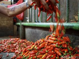 Pedagang Khawatir Harga Cabai Rawit Tembus Rp 150 Ribu/Kg Setara Daging Sapi