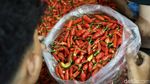 Harga Cabai Rawit Makin Pedas Jelang Idul Adha, Tembus Rp 50 Ribu per Kg