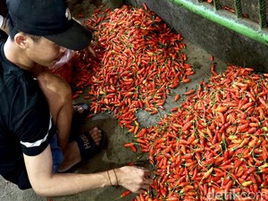Bapanas Minta Pemda Bantu Tekan Lonjakan Harga Cabai
