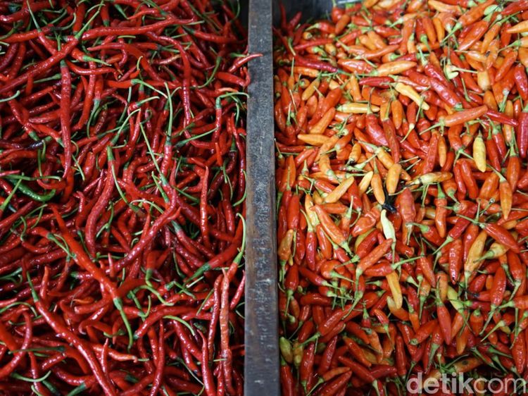 Harga Cabai Rawit Makin Pedas Jelang Idul Adha, Tembus Rp 50 Ribu per Kg
