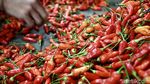 Harga Cabai Rawit Makin Pedas Jelang Idul Adha, Tembus Rp 50 Ribu per Kg