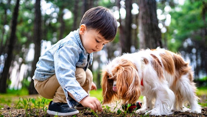 Ilustrasi Anak Digigit Anjing Rabies