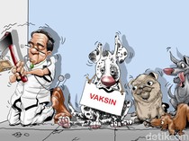 Cegah Rabies, Petugas DPKP Kotim Gencar Vaksinasi Hewan Door To Door