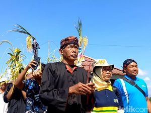 Melihat Manten Pari, Tradisi Labuh Petani Jelang Panen Raya