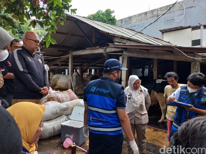 Lurah Cikoko Fitrianti dam Perumda Pal Jaya mengambil sampel limbah kotoran sapi yang dikeluhkan warga di Jakarta Selatan.