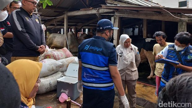 Lurah Cikoko Fitrianti dam Perumda Pal Jaya mengambil sampel limbah kotoran sapi yang dikeluhkan warga di Jakarta Selatan.