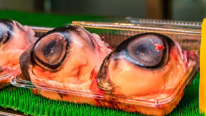Makanan ekstrem di dunia 10 Makanan Ekstrem di Dunia Ini Bikin Bergidik, Berani Coba?