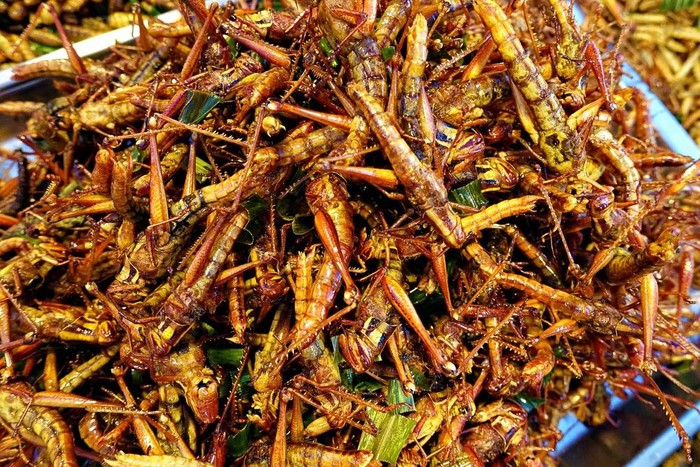 10 Makanan Ekstrem di Dunia Ini Bikin Bergidik, Berani Coba?