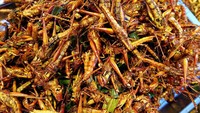Pernah diserang hama belalang yang sulit ditaklukan membuat Israel memiliki camilan tradisional bernama locusts. Makanan ini disajikan dengan belalang yang digoreng kering. Foto: Rough Guides
