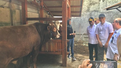 Menteri Pertanian (Mentan) Syahrul Yasin Limpo saat mengunjungi peternak sapi di Desa Tempos, Lombok Barat, Nusa Tenggara Barat (NTB) pada Senin (26/6/2023).