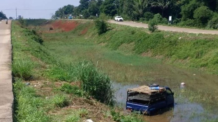 Mobil pikap terperosok di Tajur Halang, Kabupaten Bogor. Kambing-kambing berlarian.
