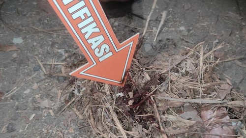 Seorang paman menebas leher keponakannya menggunakan celurit hingga tewas. Insiden ini terjadi di Lombok Utara, NTB, Jumat (23/6/2023).