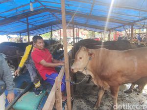 Pedagang Hewan Kurban Berdatangan ke Semarang, Pemkot: Wajib Lapor Lurah