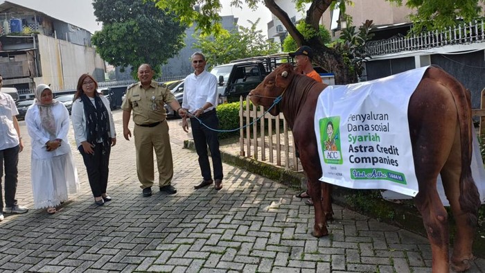 Penyaluran Ratusan Hewan Kurban Sambut Idul Adha 1444 H Penyaluran Ratusan Hewan Kurban Sambut Idul Adha 1444 H