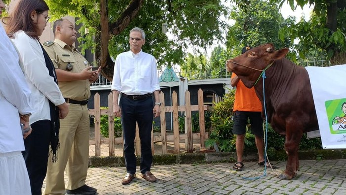 Penyaluran Ratusan Hewan Kurban Sambut Idul Adha 1444 H Penyaluran Ratusan Hewan Kurban Sambut Idul Adha 1444 H