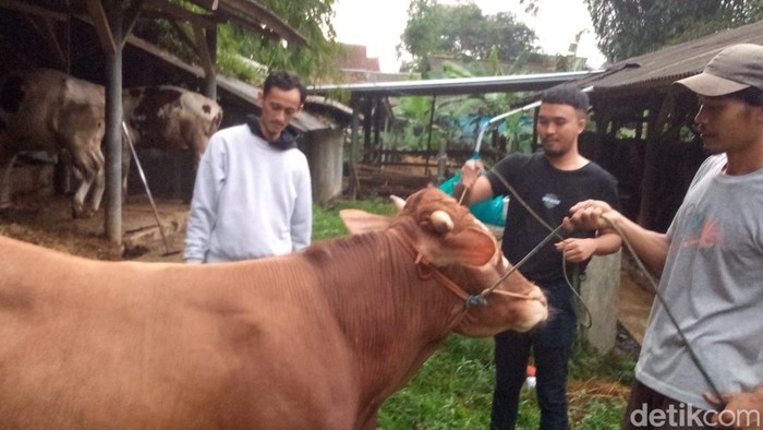Peternak muda asal Kabupaten Kuningan.