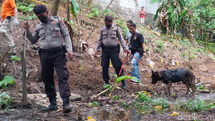 Petugas kepolisian melanjutkan pencarian 3 kerangka bayi menggunakan anjing pelacak di Kelurahan Tanjung, Kecamatan Purwokerto Selatan, Banyumas, Senin (26/6/2023).