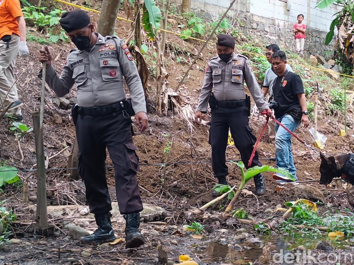 Petugas kepolisian melanjutkan pencarian 3 kerangka bayi menggunakan anjing pelacak di Kelurahan Tanjung, Kecamatan Purwokerto Selatan, Banyumas, Senin (26/6/2023).