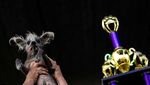 Potret Scooter, Pemenang Kontes Anjing Terjelek di Dunia